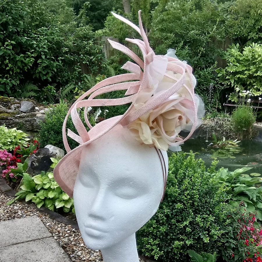 Meredith Peach Rose 467