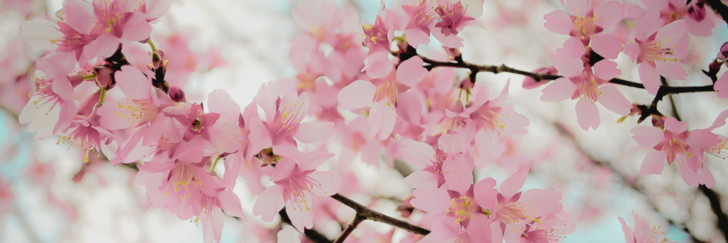 boutique warwickshire